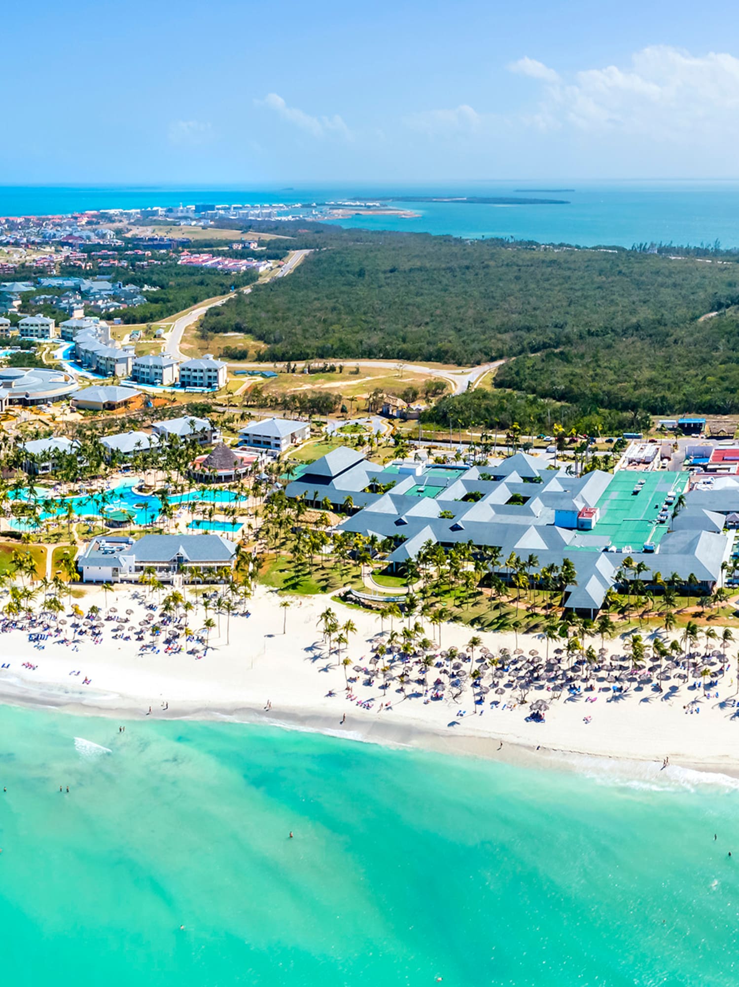 a beach with buildings and trees