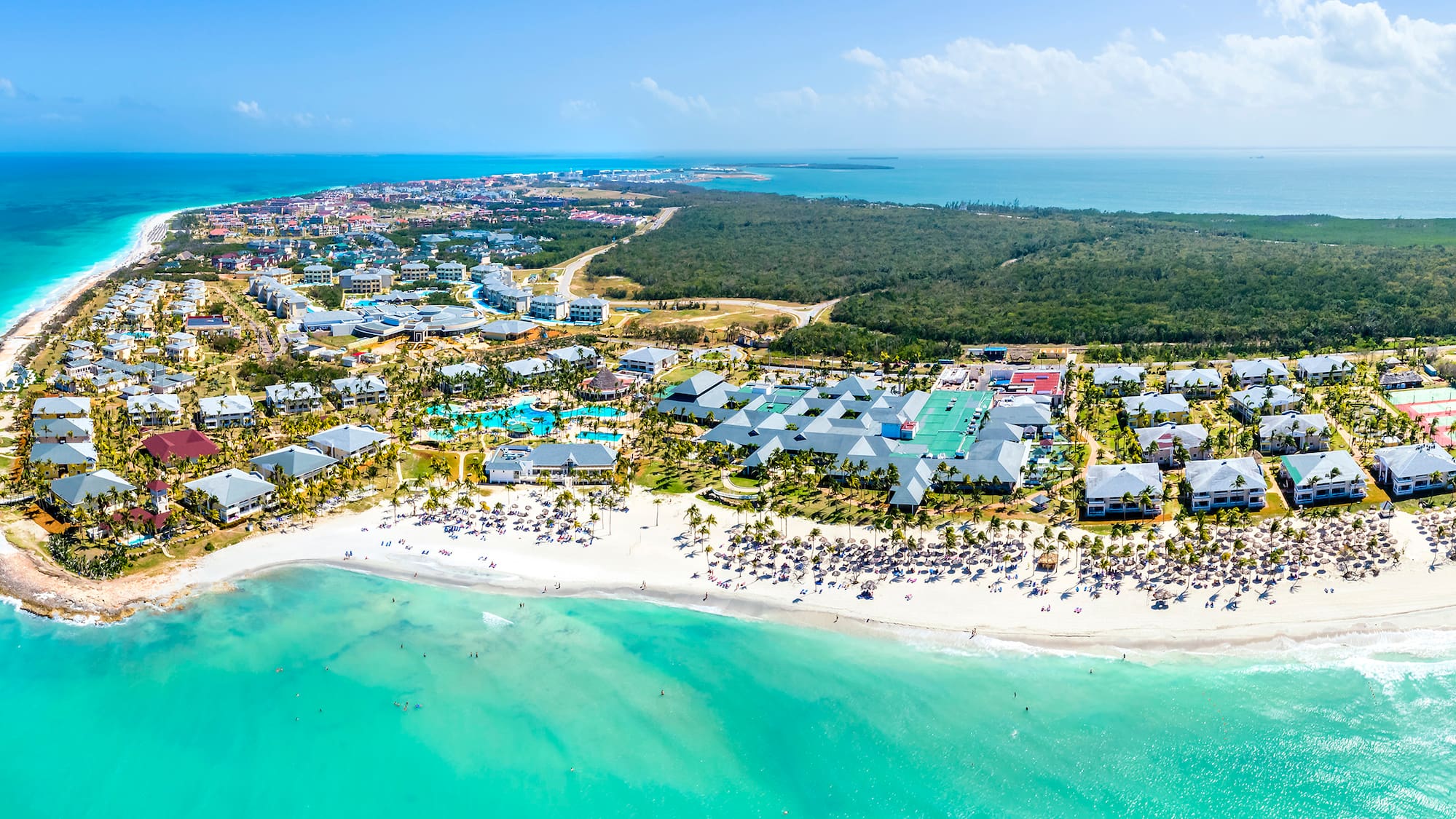 a beach with buildings and trees