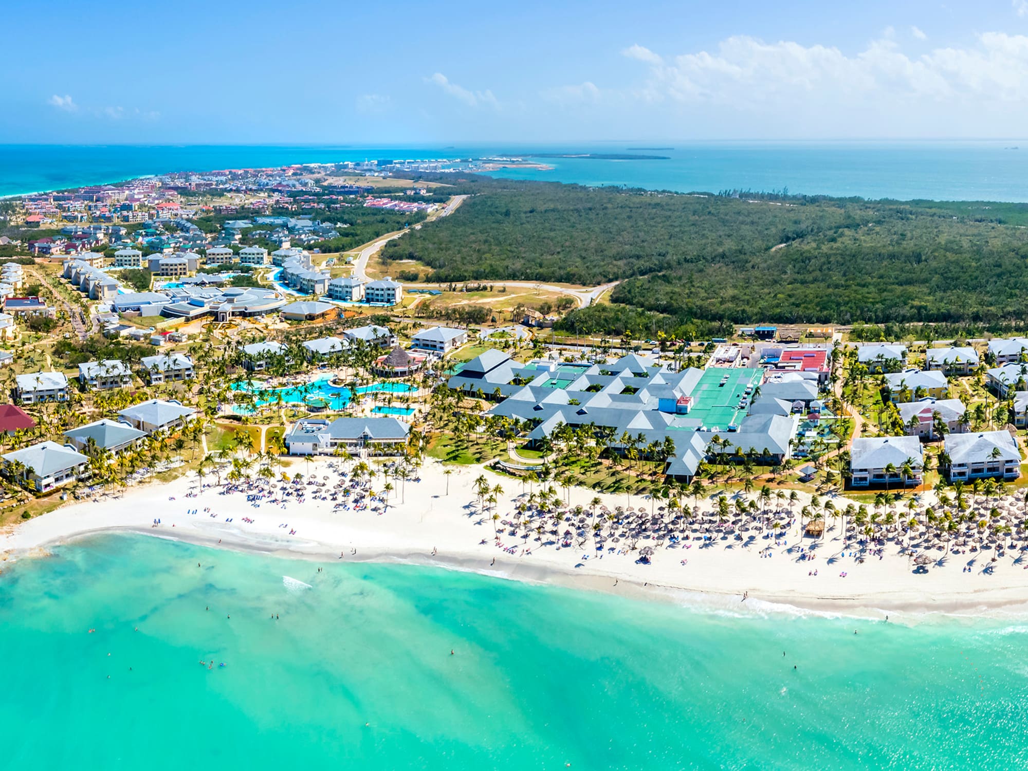 a beach with buildings and trees