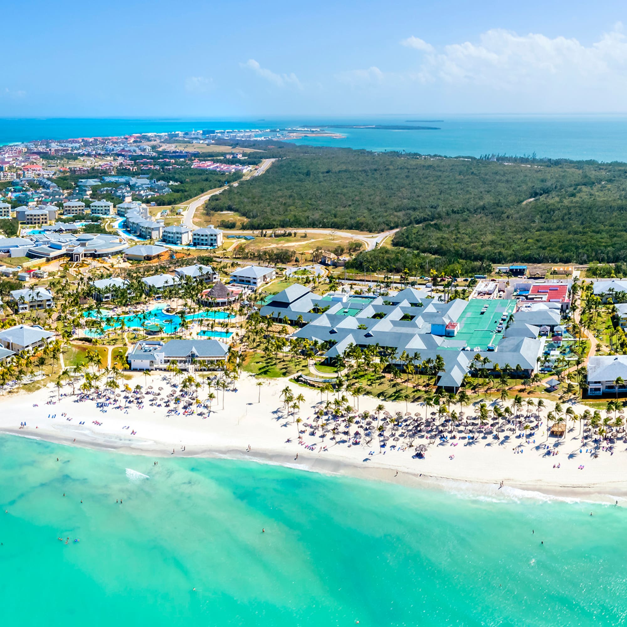 a beach with buildings and trees