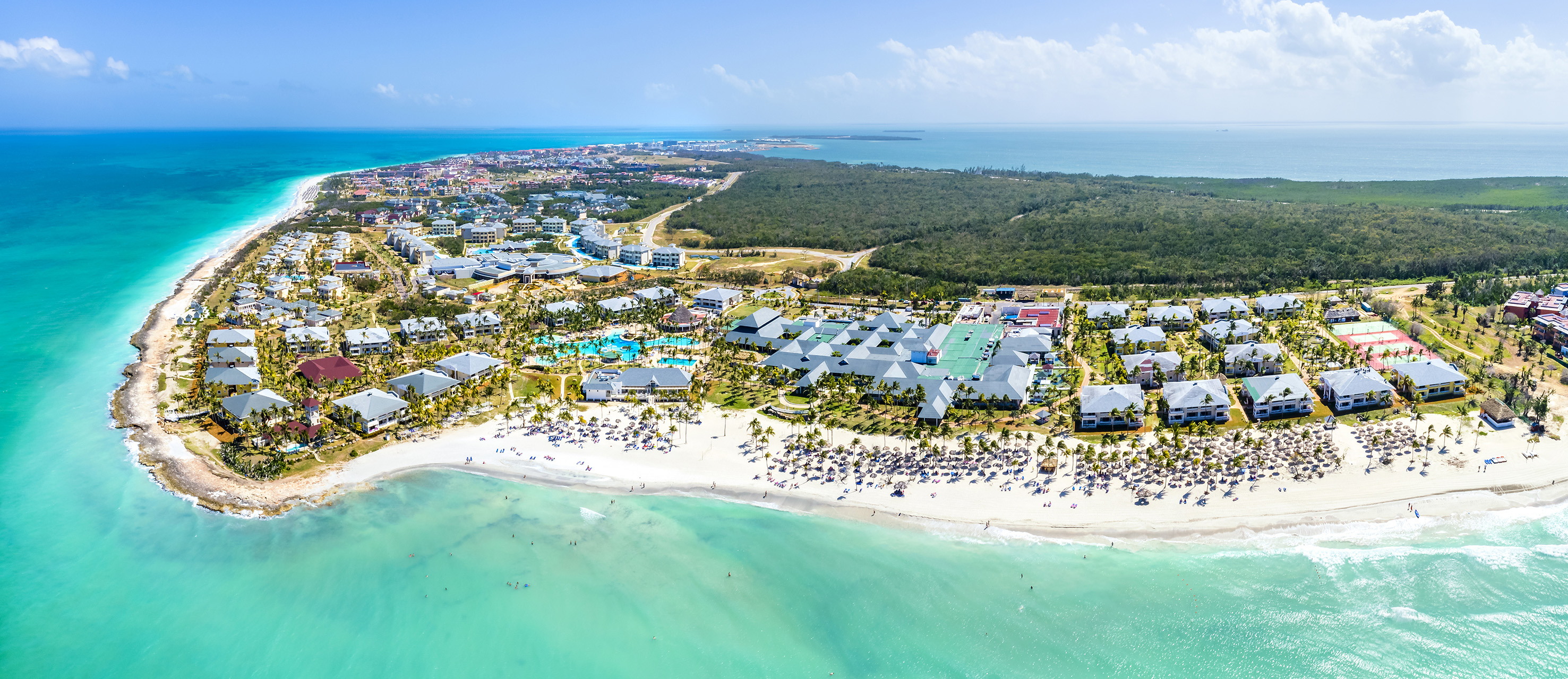 a beach with buildings and trees