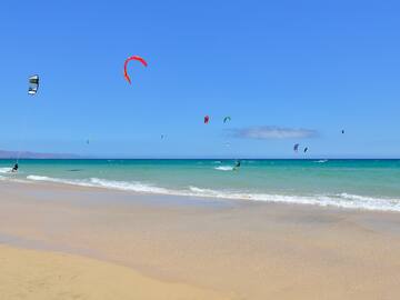a group of people kite surfing on a beach