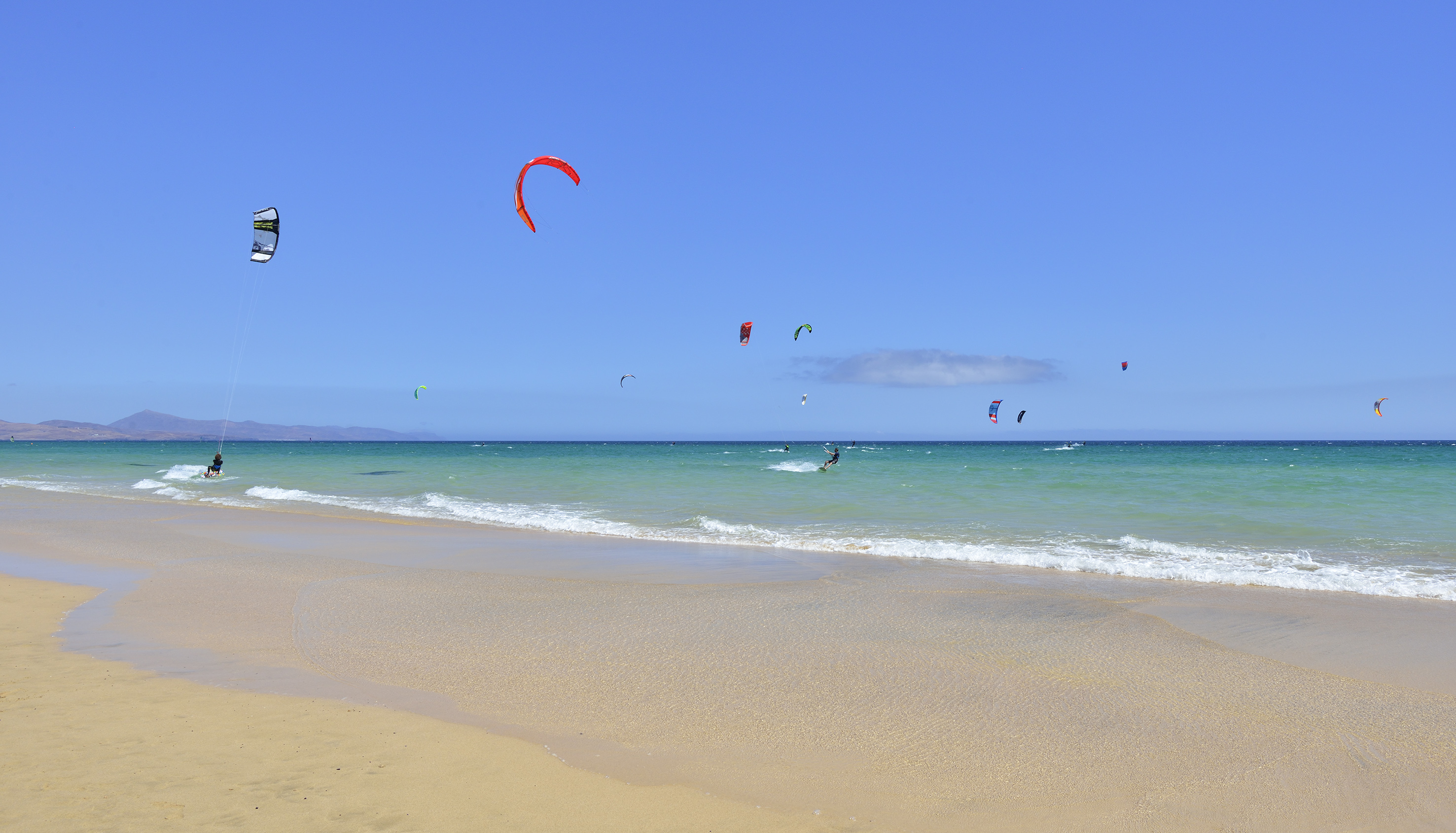 a group of people kite surfing on a beach