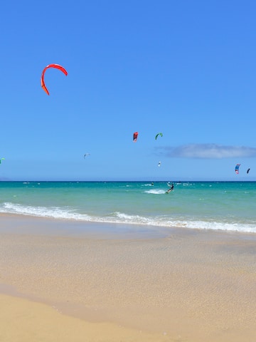 a group of people kite surfing on a beach