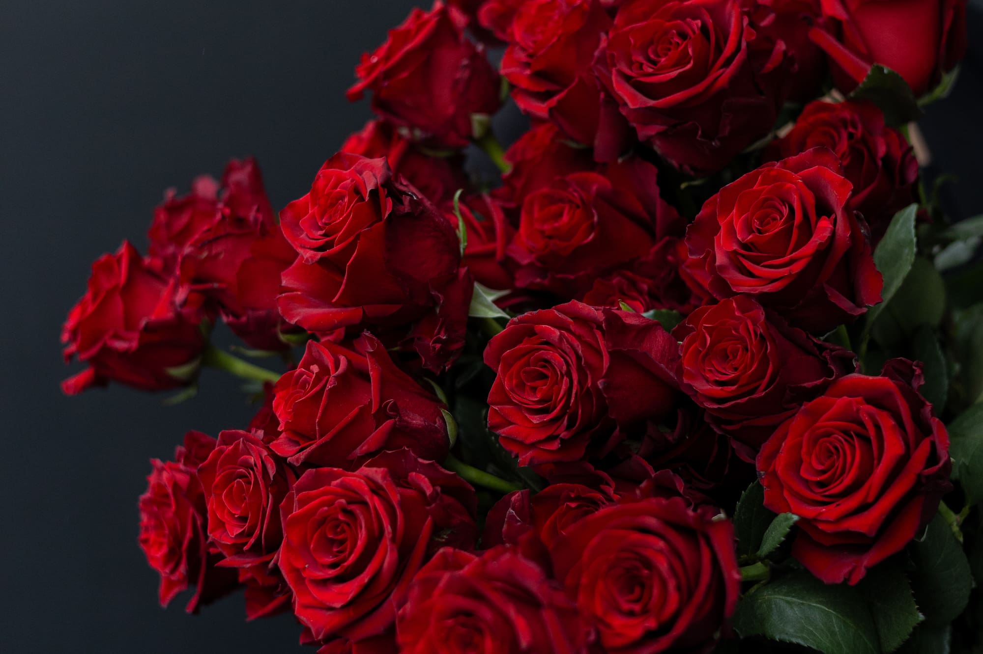 a woman holding a bouquet of red roses