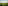 a couple walking in a vineyard