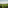 a couple walking in a vineyard