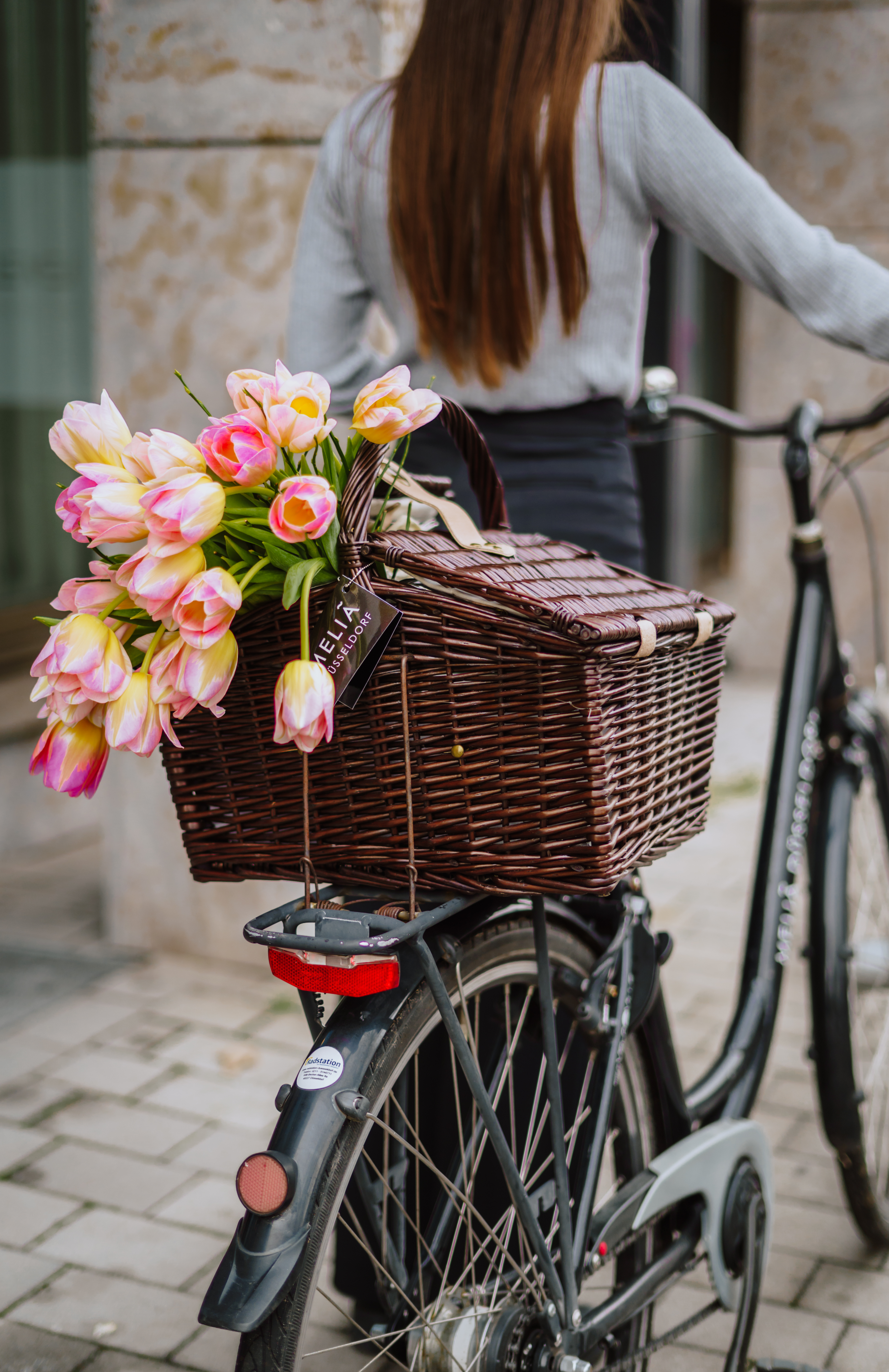 Woman pushing bicycle with wicker basket full of pink and yellow tulips.