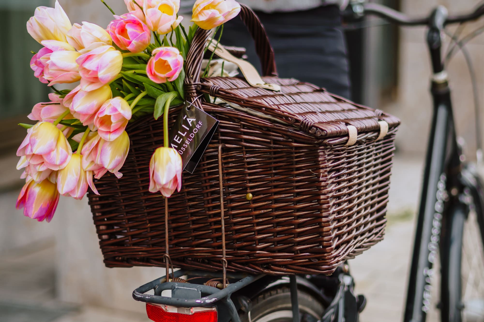 Woman pushing bicycle with wicker basket full of pink and yellow tulips.