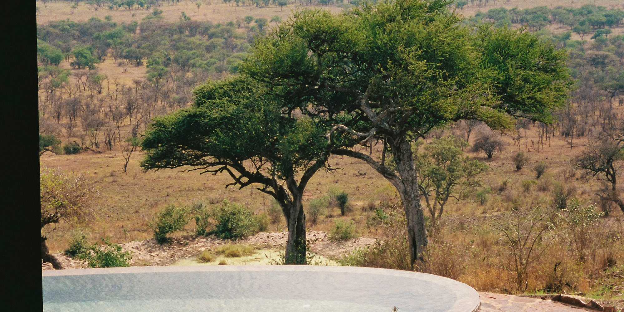 a pool with a couch and trees in the background