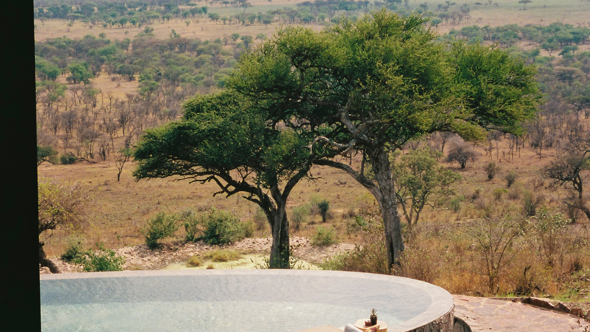 a pool with a couch and trees in the background