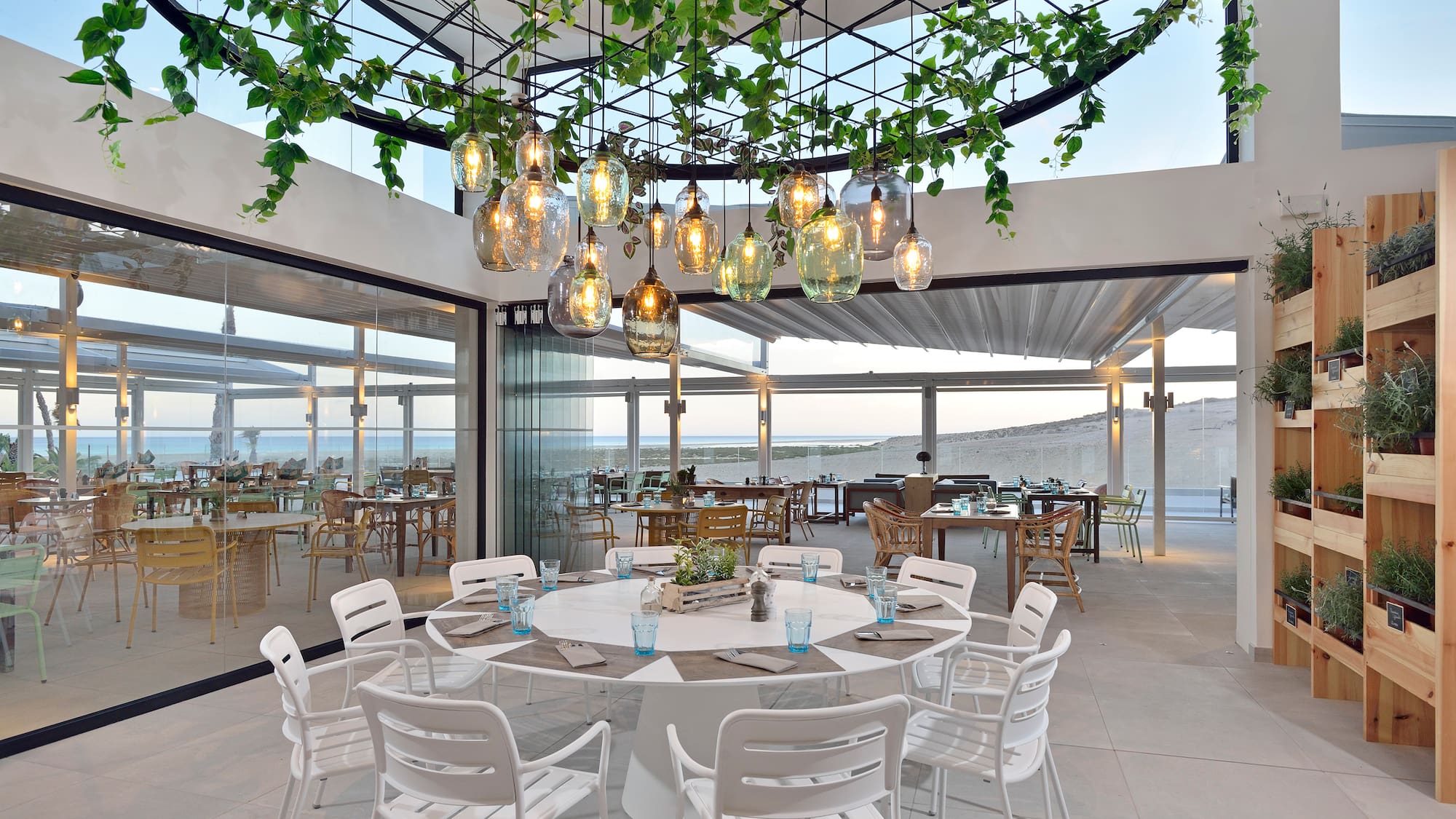 Stylish beachfront restaurant with hanging lights, indoor plants, and sea views.