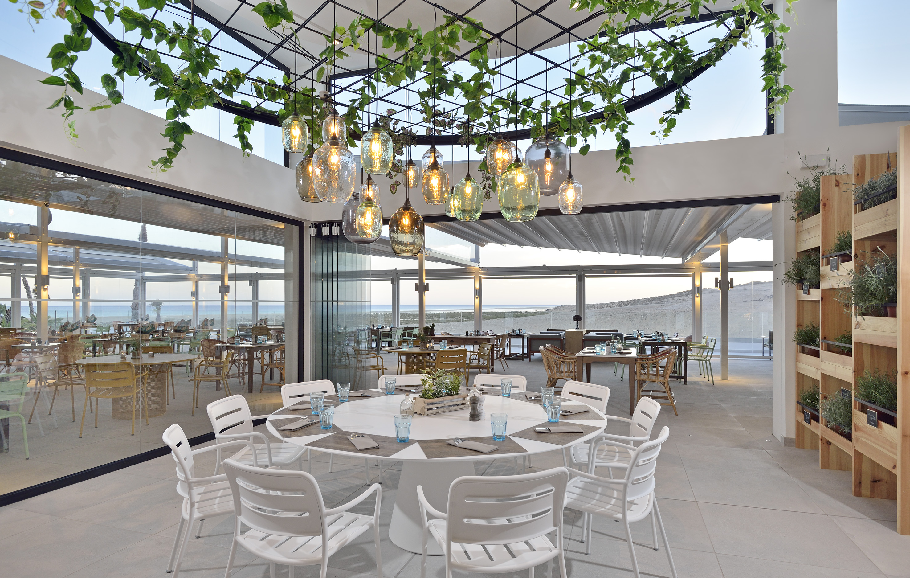 Stylish beachfront restaurant with hanging lights, indoor plants, and sea views.