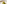 Gourmet green pasta, creamy sauce, crispy topping in white bowl, wine glass.