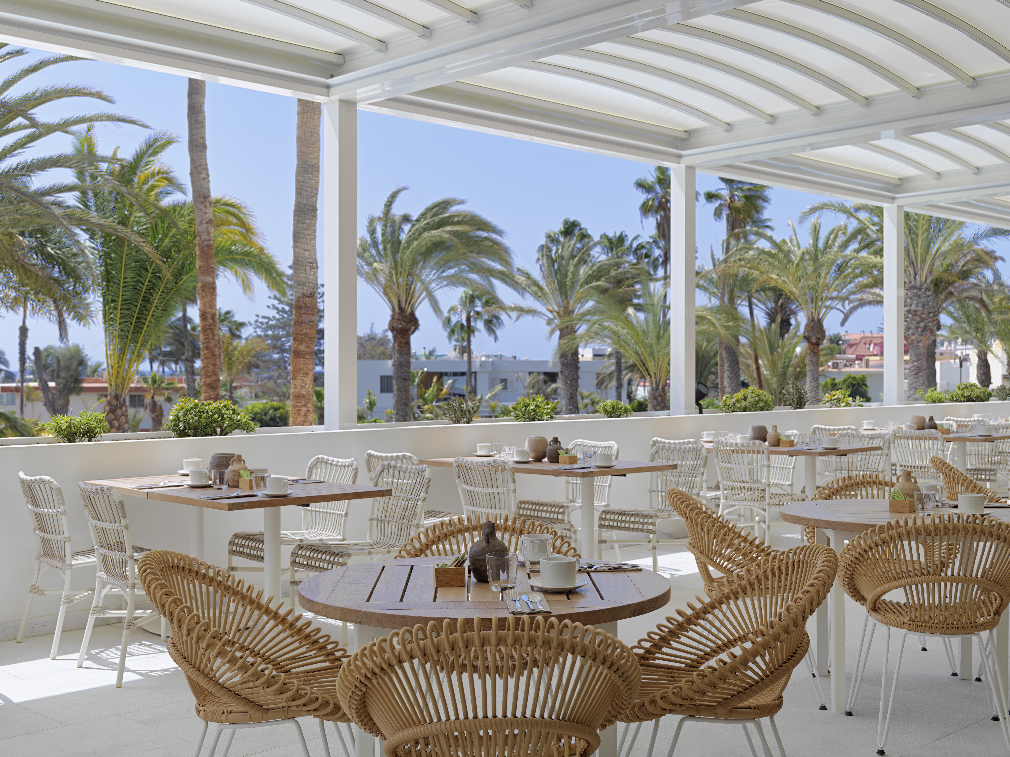 Tropical resort outdoor dining terrace with rattan chairs and palm trees.