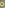 Gourmet seared steak, mushrooms, creamy puree, sauce, decorative green plate.