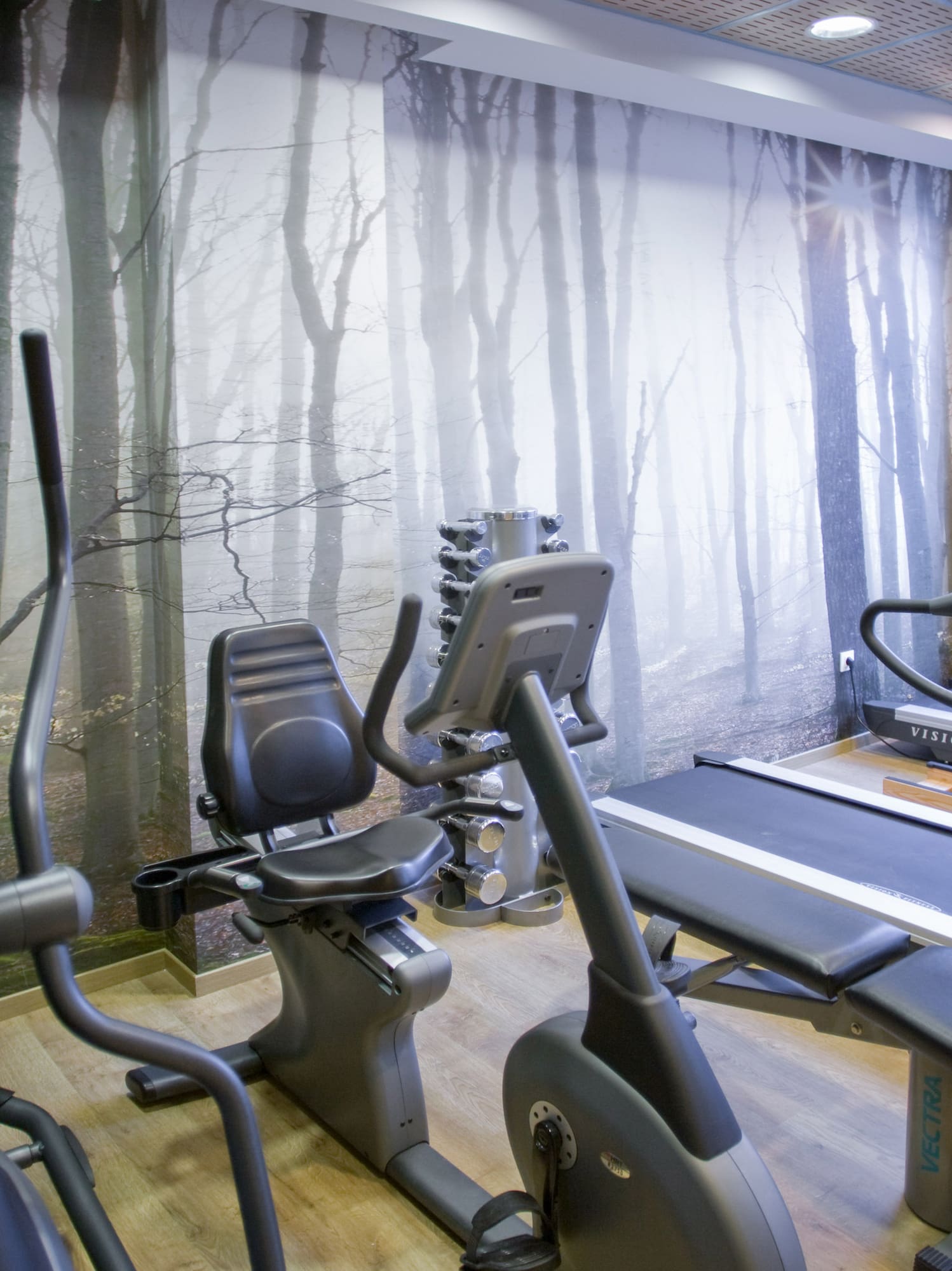 Hotel fitness room with elliptical, recumbent bike, treadmills, and forest mural.
