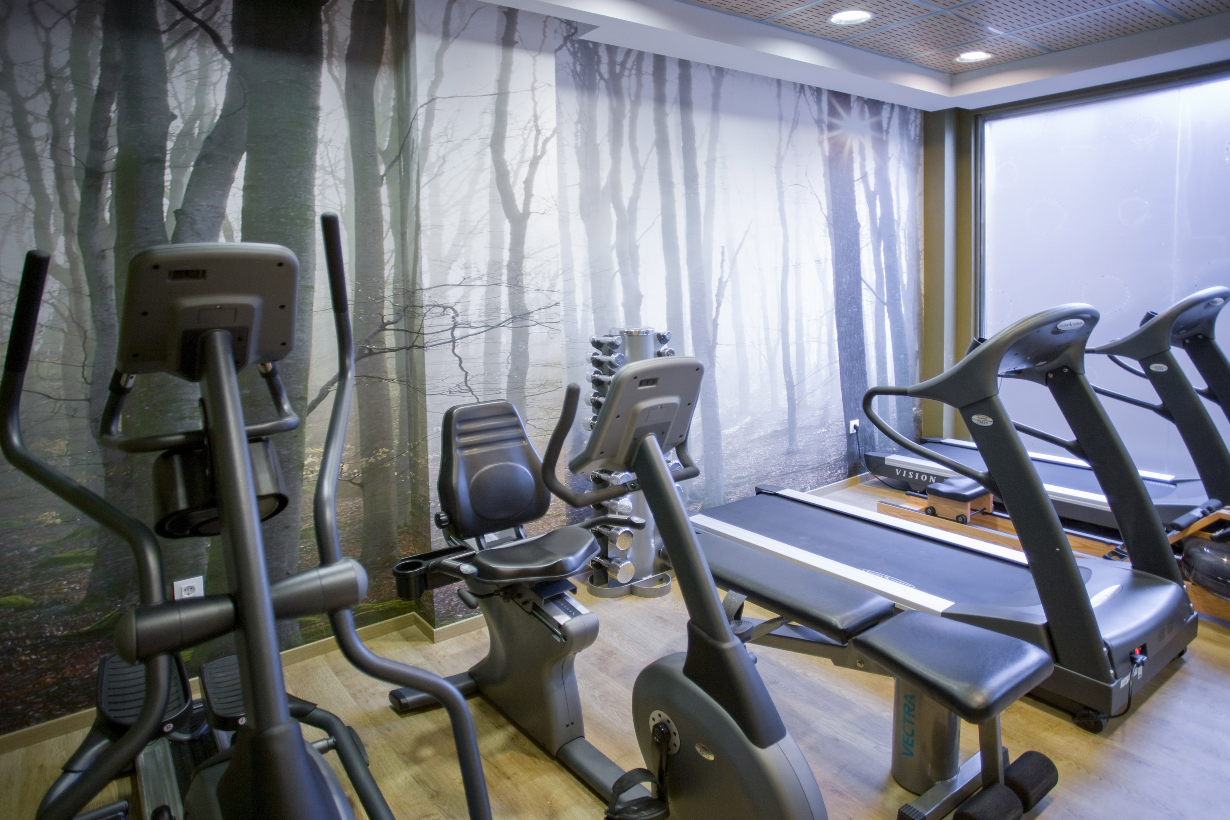 Hotel fitness room with elliptical, recumbent bike, treadmills, and forest mural.