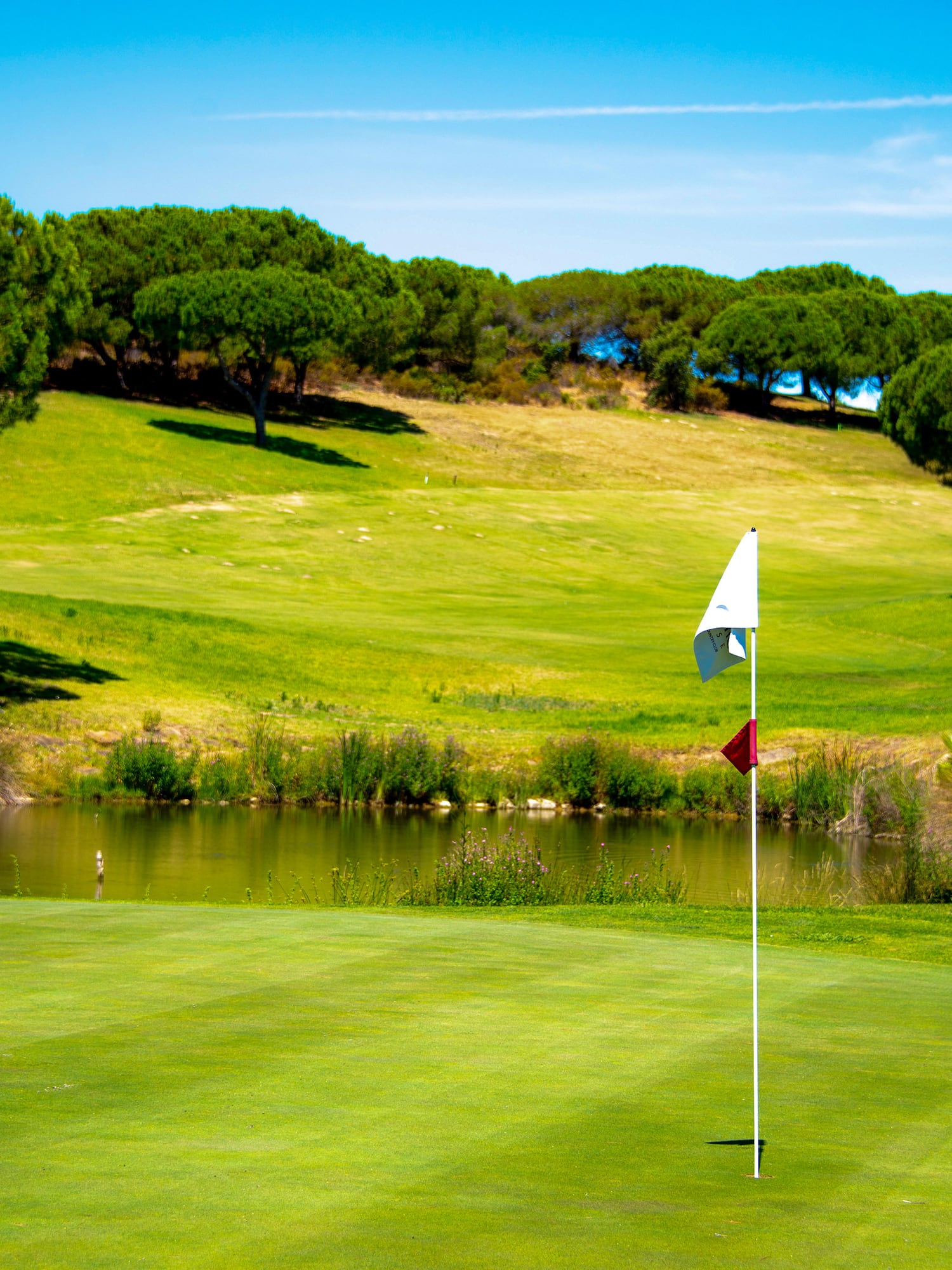 a golf course with a flag on the green