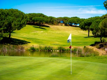 a golf course with a flag on the green
