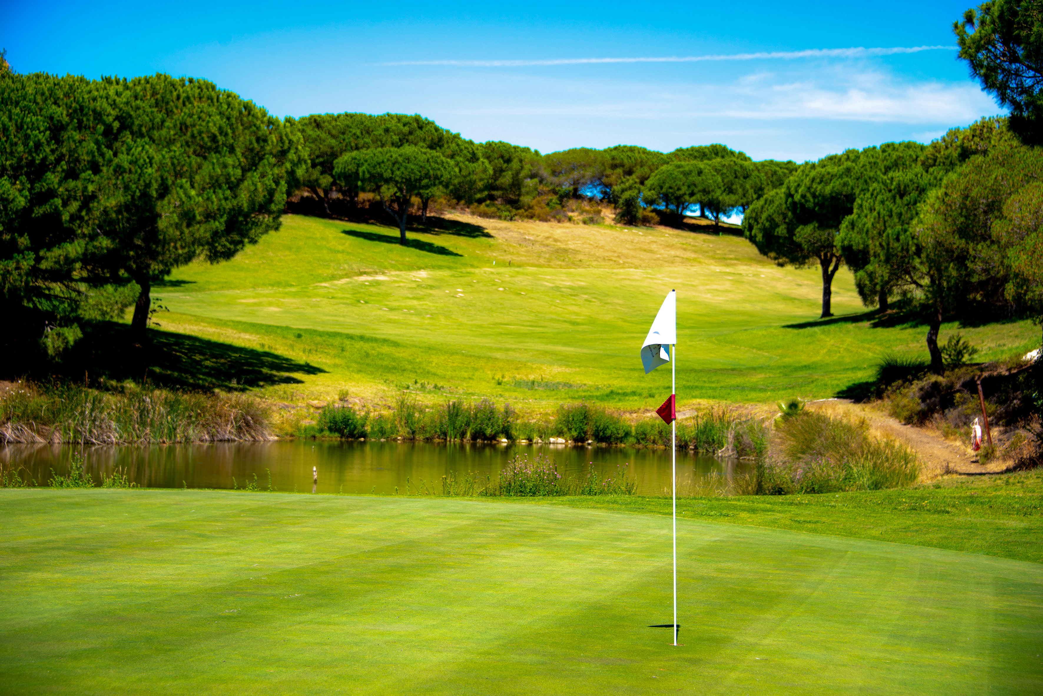 Golf course green with flag, water hazard, and pine trees under blue sky.