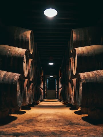 a row of barrels in a dark room