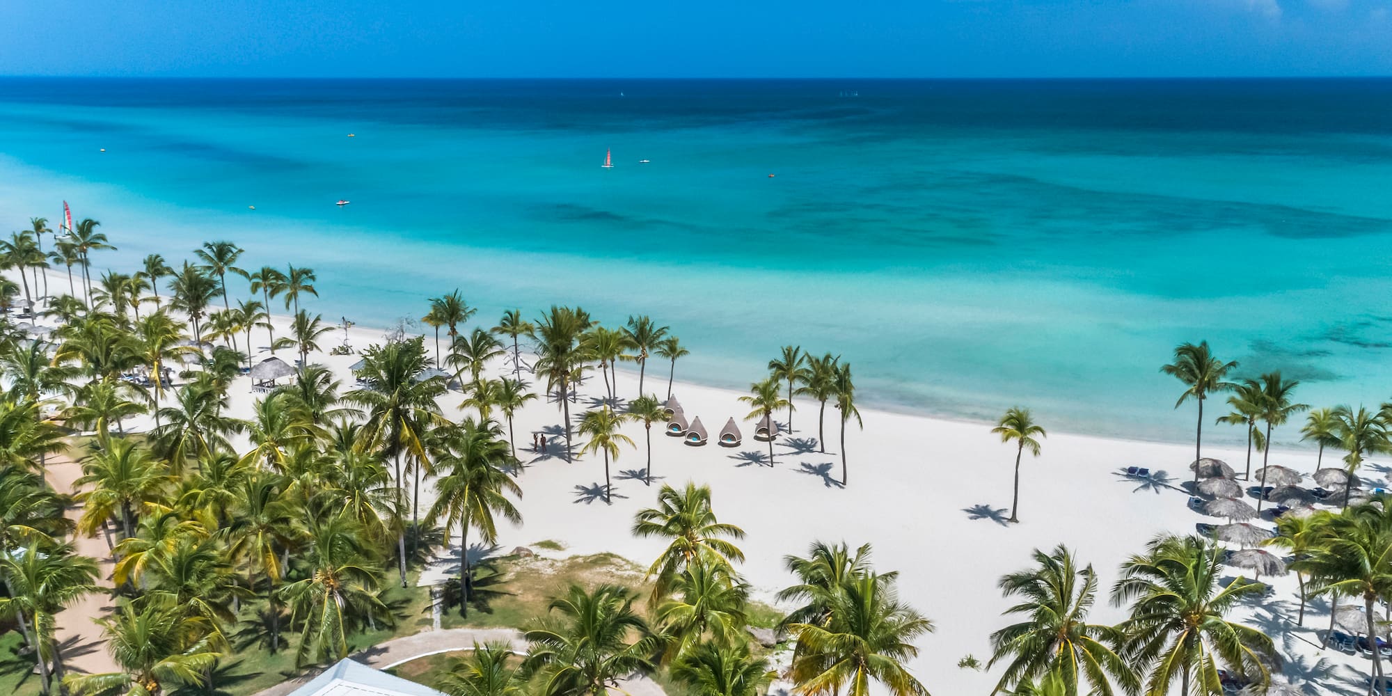 a beach with palm trees and blue water