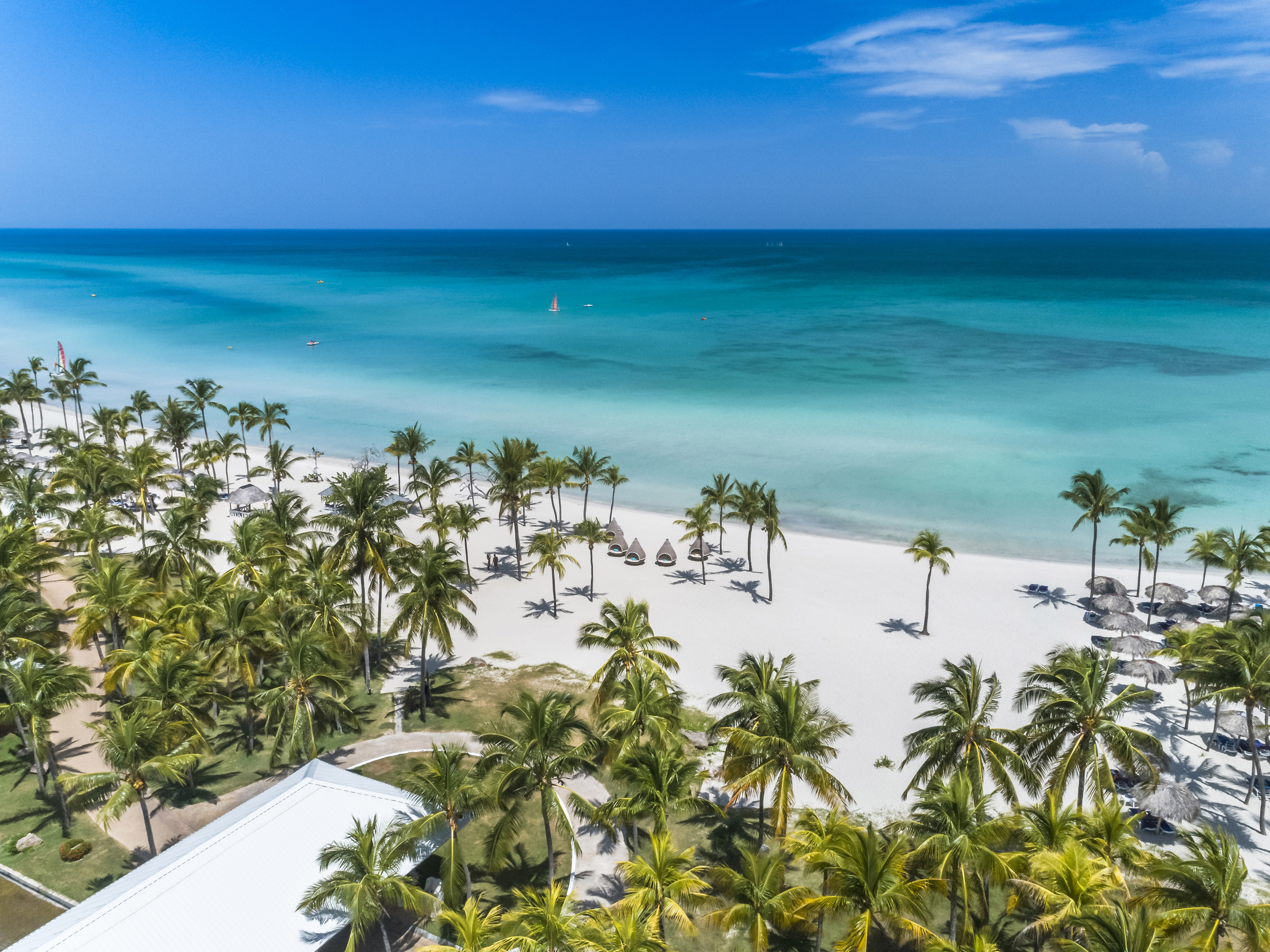 a beach with palm trees and blue water