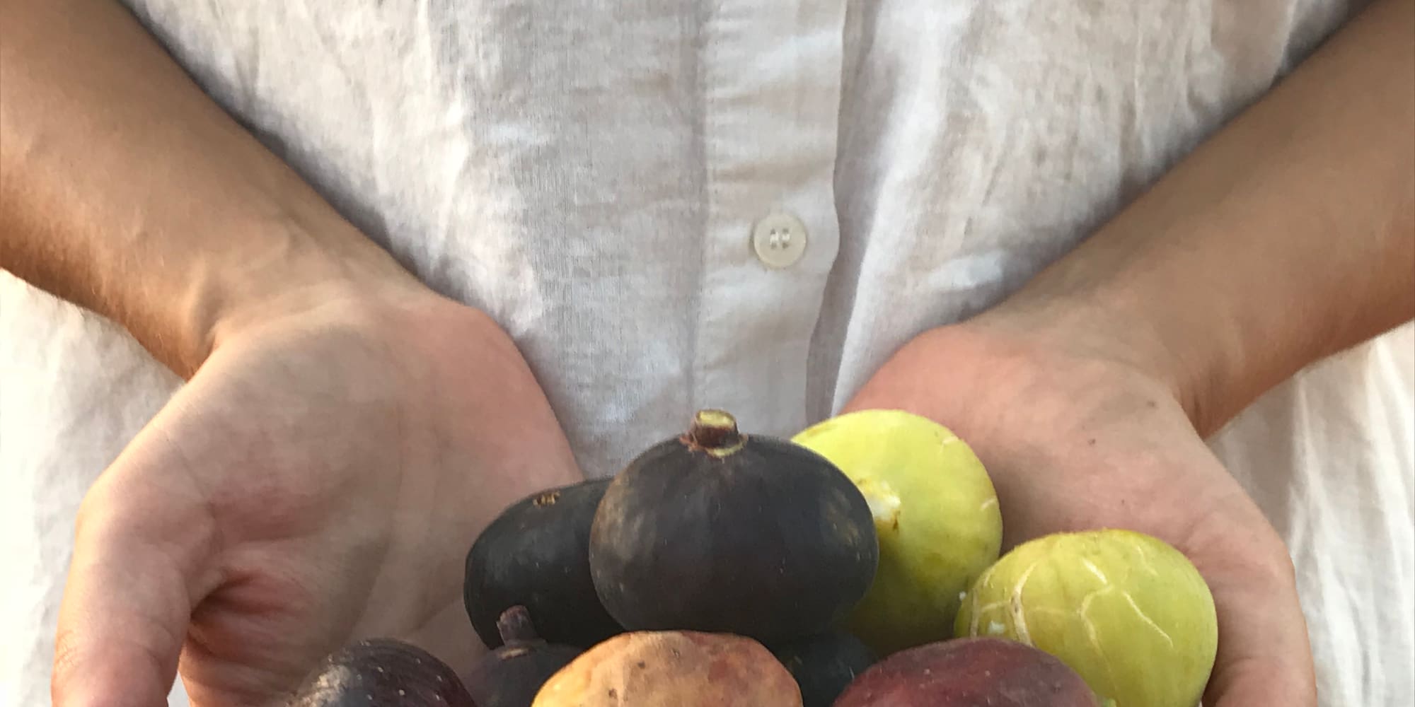 a person holding a pile of figs