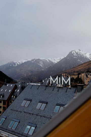 a rooftop of a building with snow covered mountains in the background