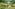 Four elephants eating and bathing in a lush jungle river.