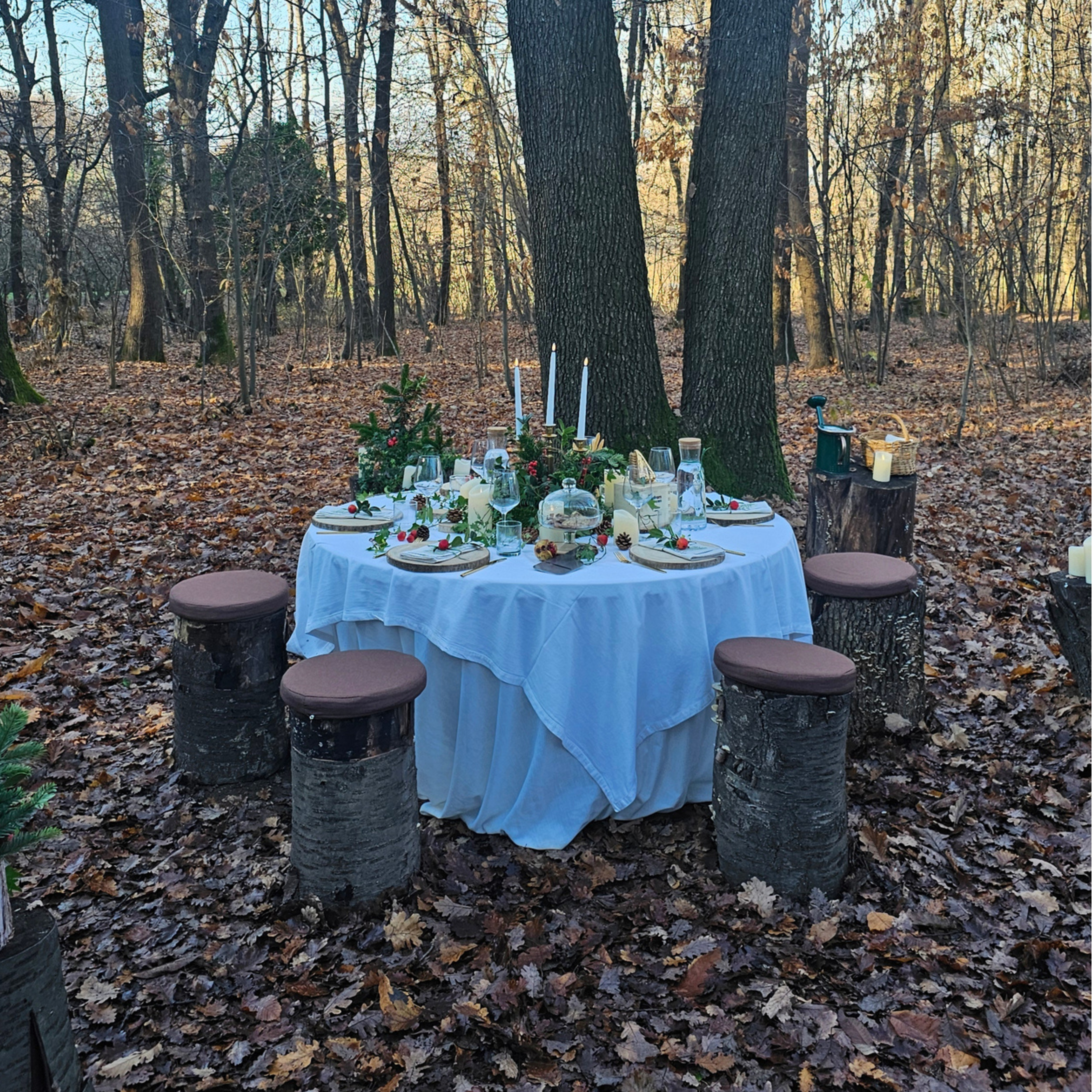 Festive outdoor dinner table with candles and stump seating in a woodland.