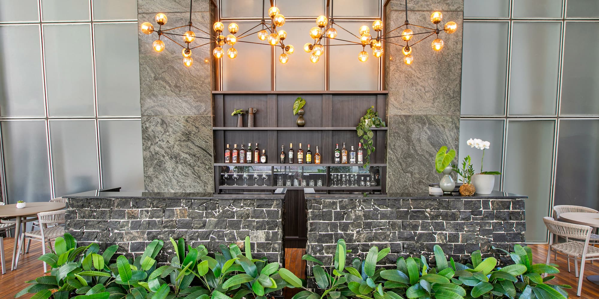 a bar with plants and lights