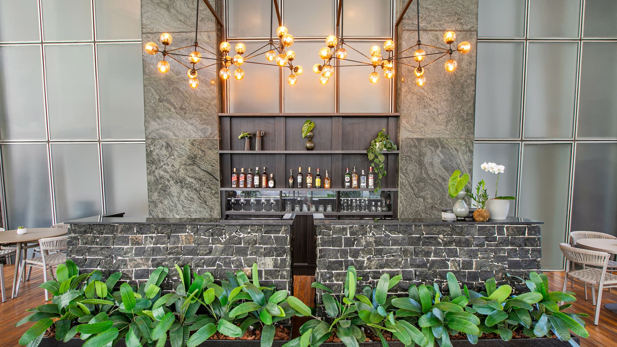 a bar with plants and lights