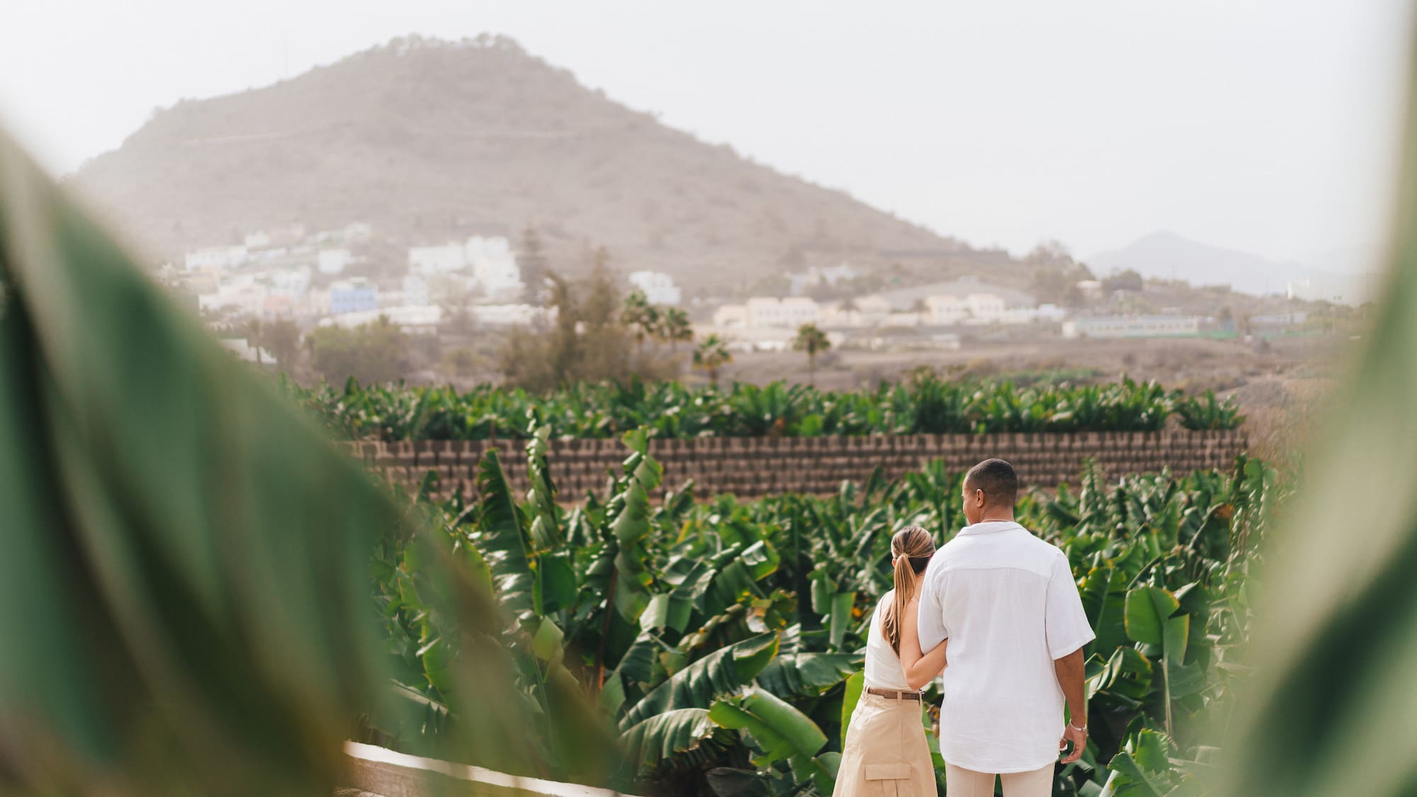 a man and woman standing on a ledge looking at a plantation
