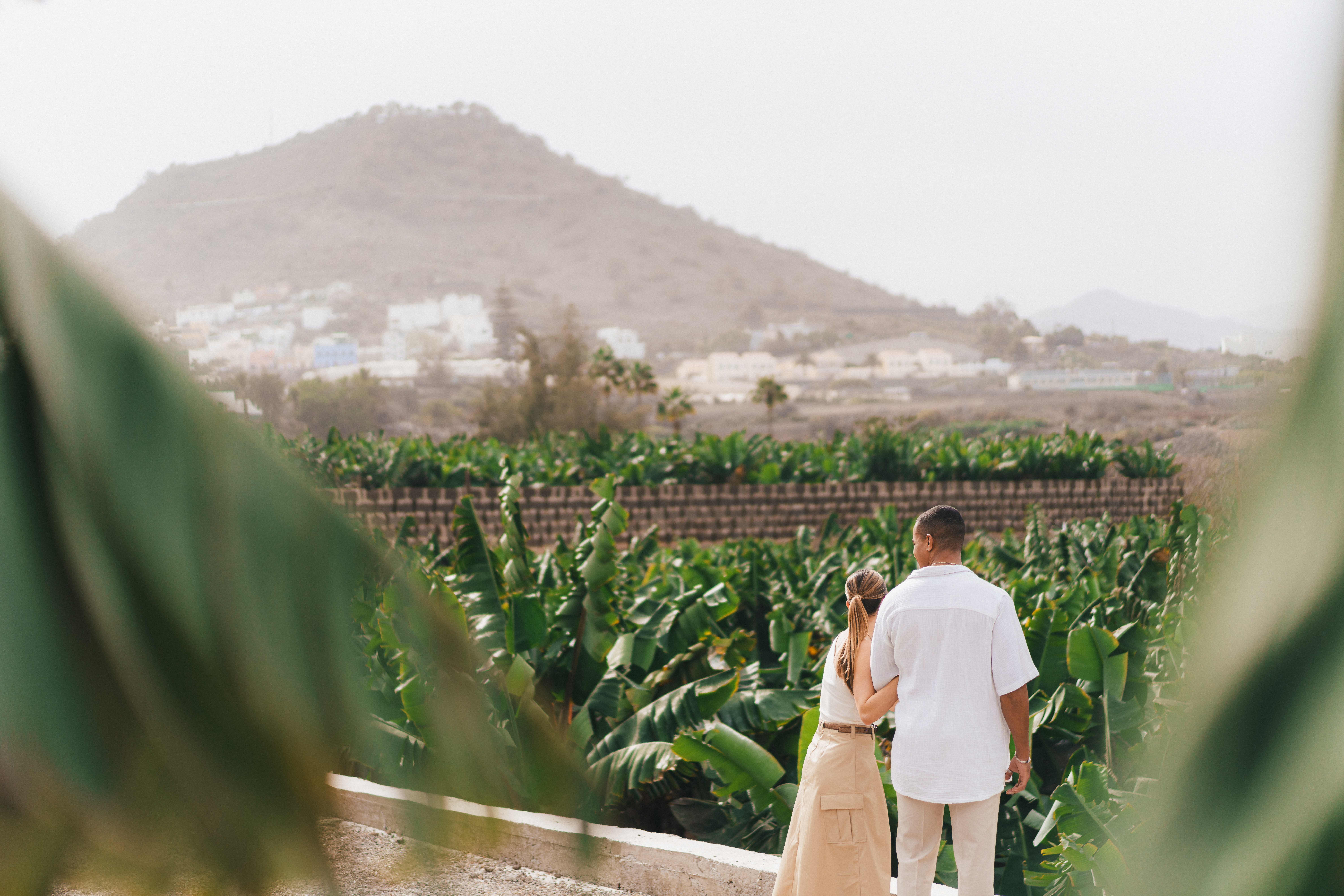 a man and woman standing on a ledge looking at a plantation