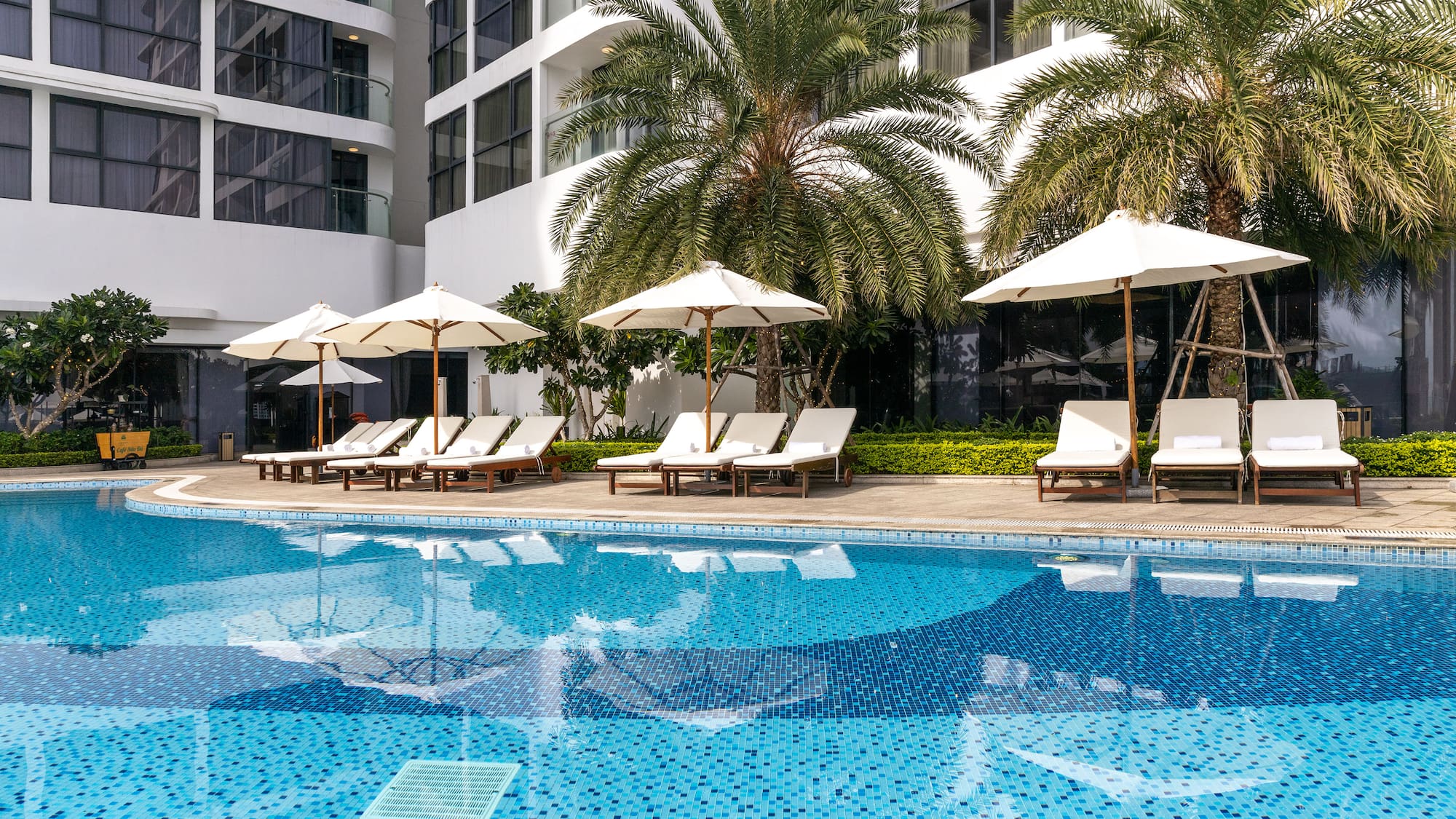 a pool with umbrellas and lounge chairs