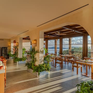 a room with tables and chairs and plants