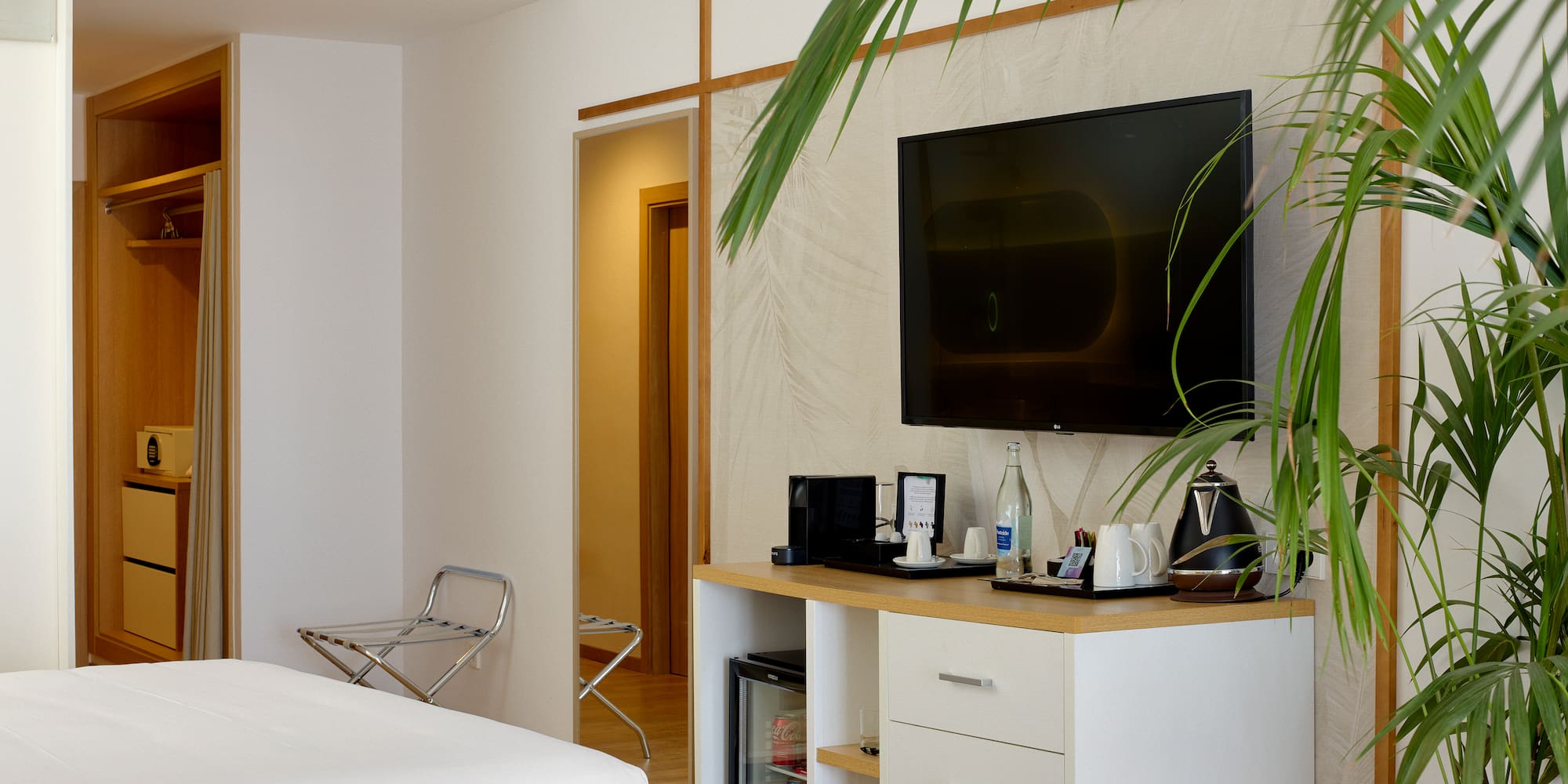 a room with a tv and a plant