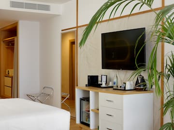 a room with a tv and a plant