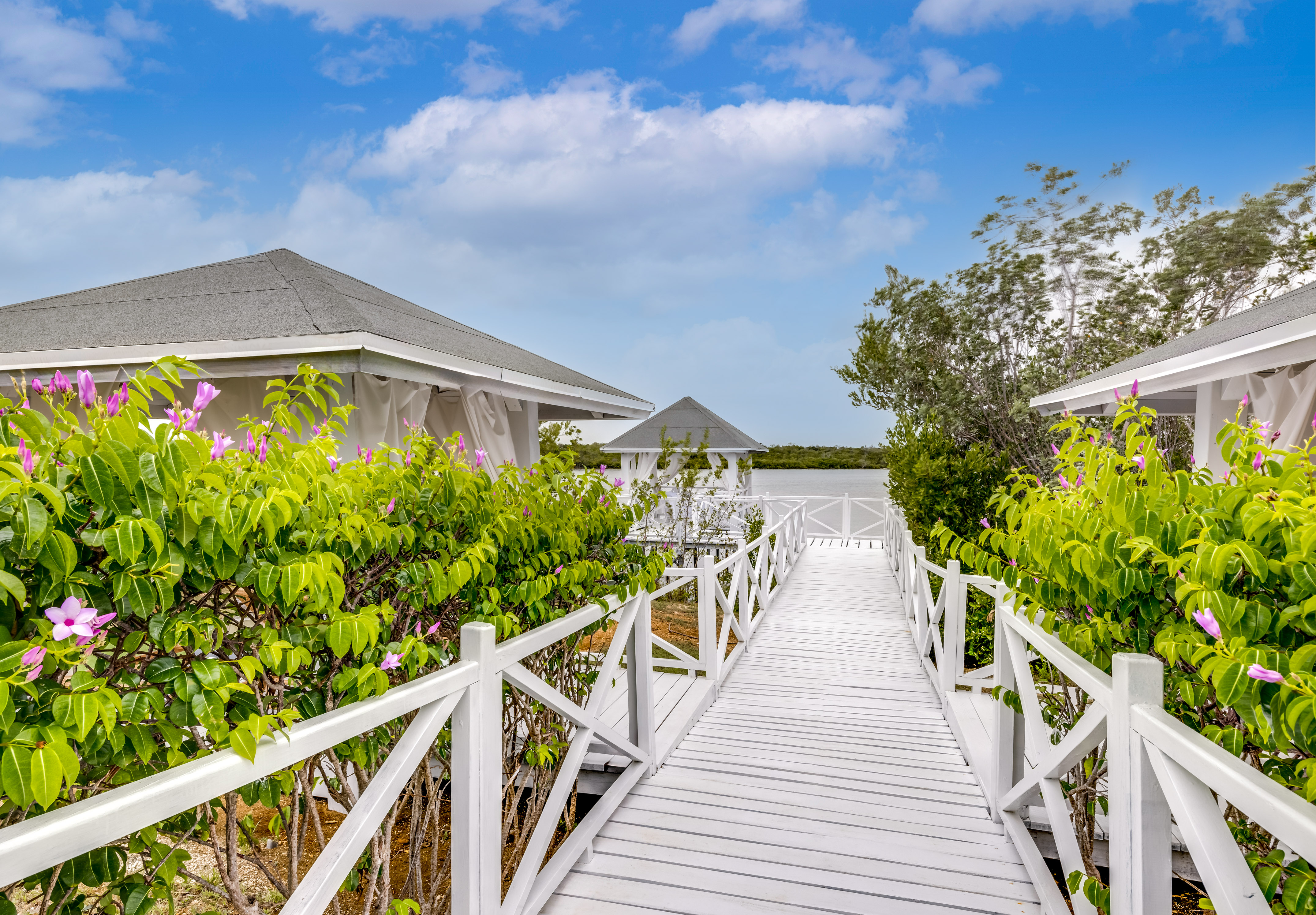 a white wooden walkway with a white railing and a white fence