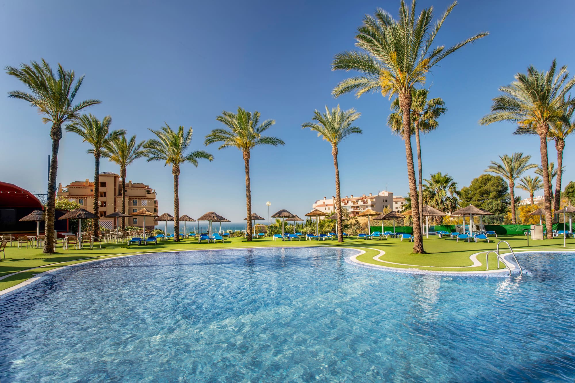 Mediterranean resort pool with palm trees, sun loungers, and blue sky.