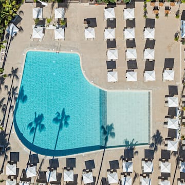 an aerial view of a pool with umbrellas and palm trees