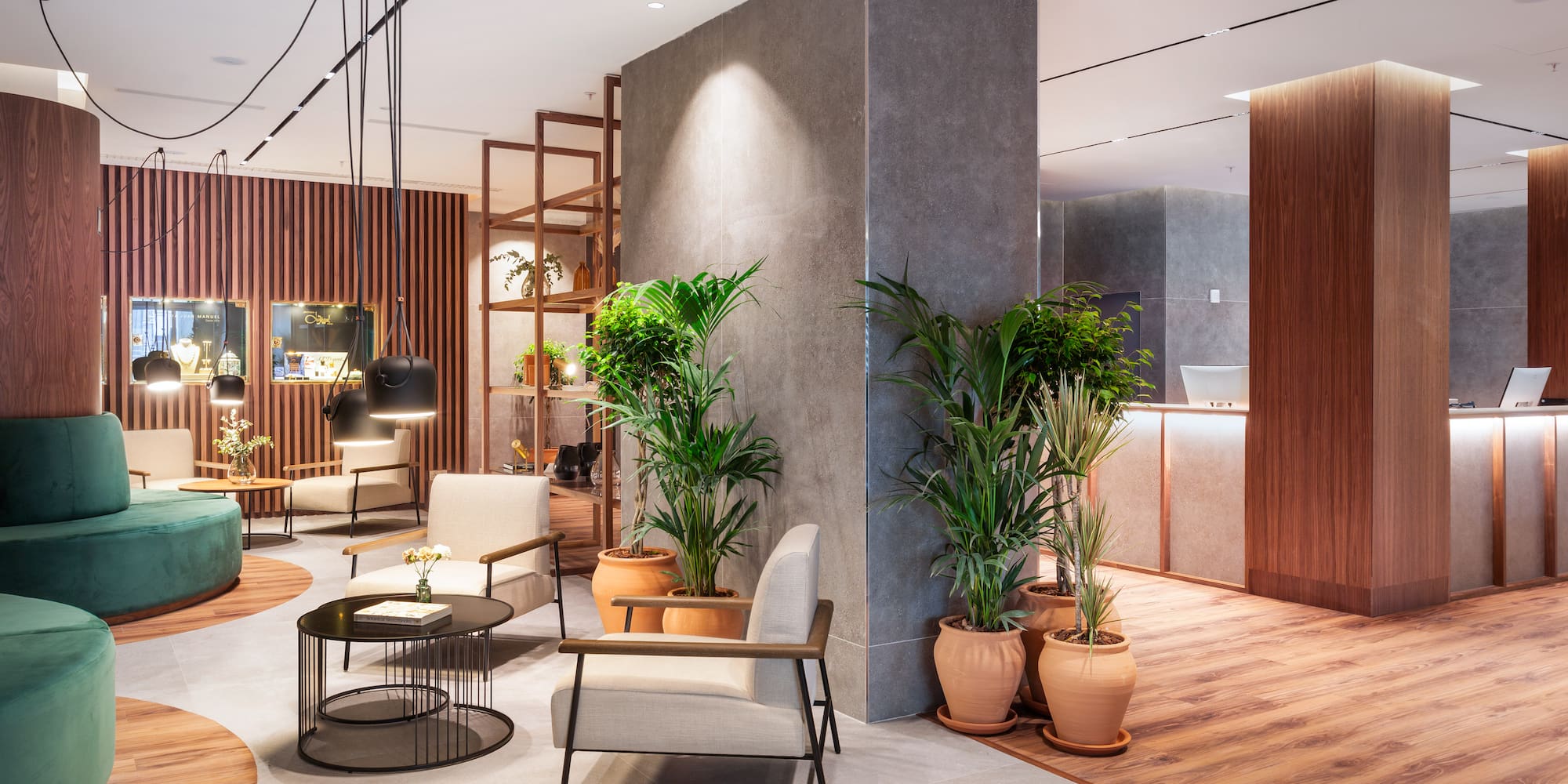 a room with plants in pots