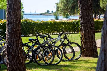 a group of bicycles parked in a park