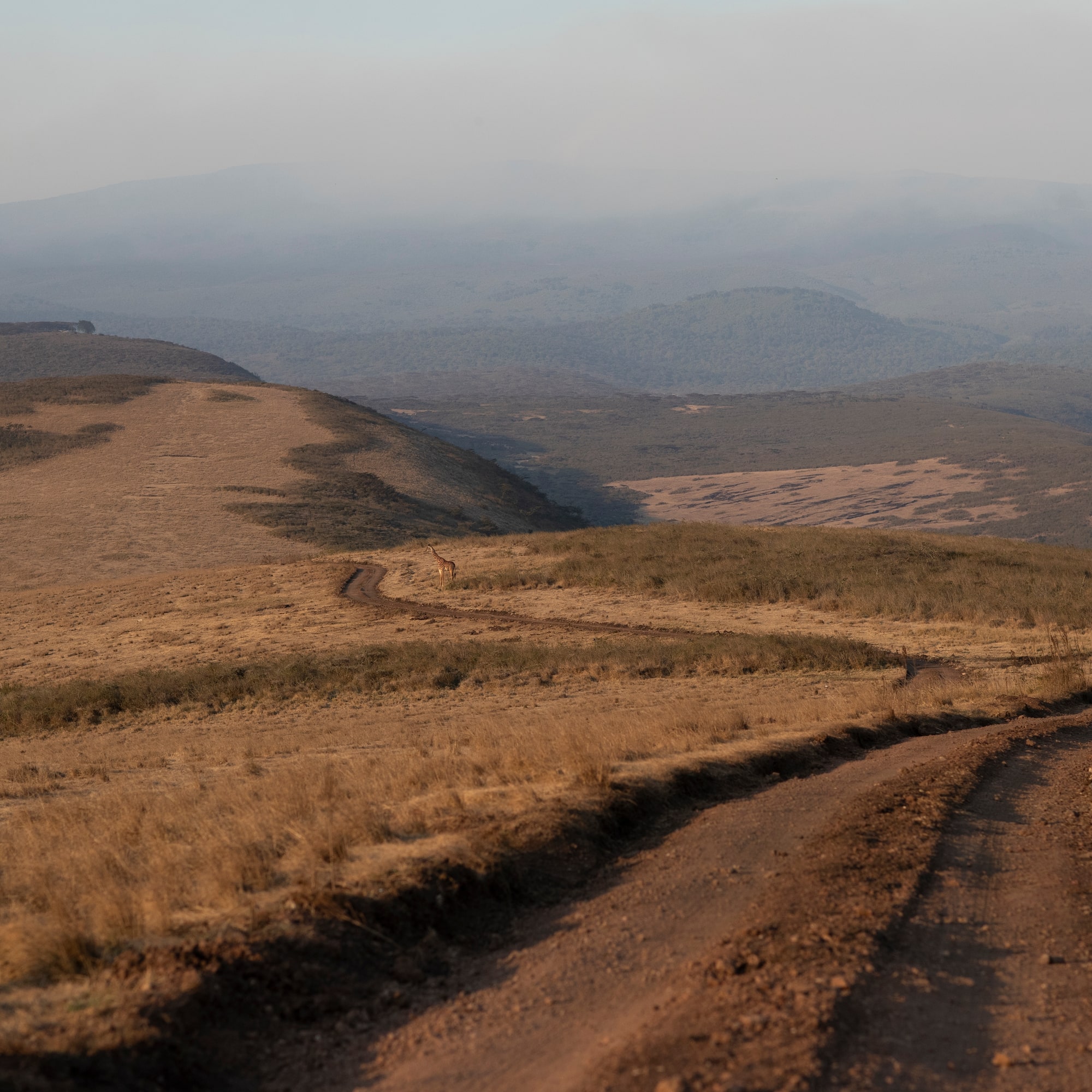 a dirt road through a valley
