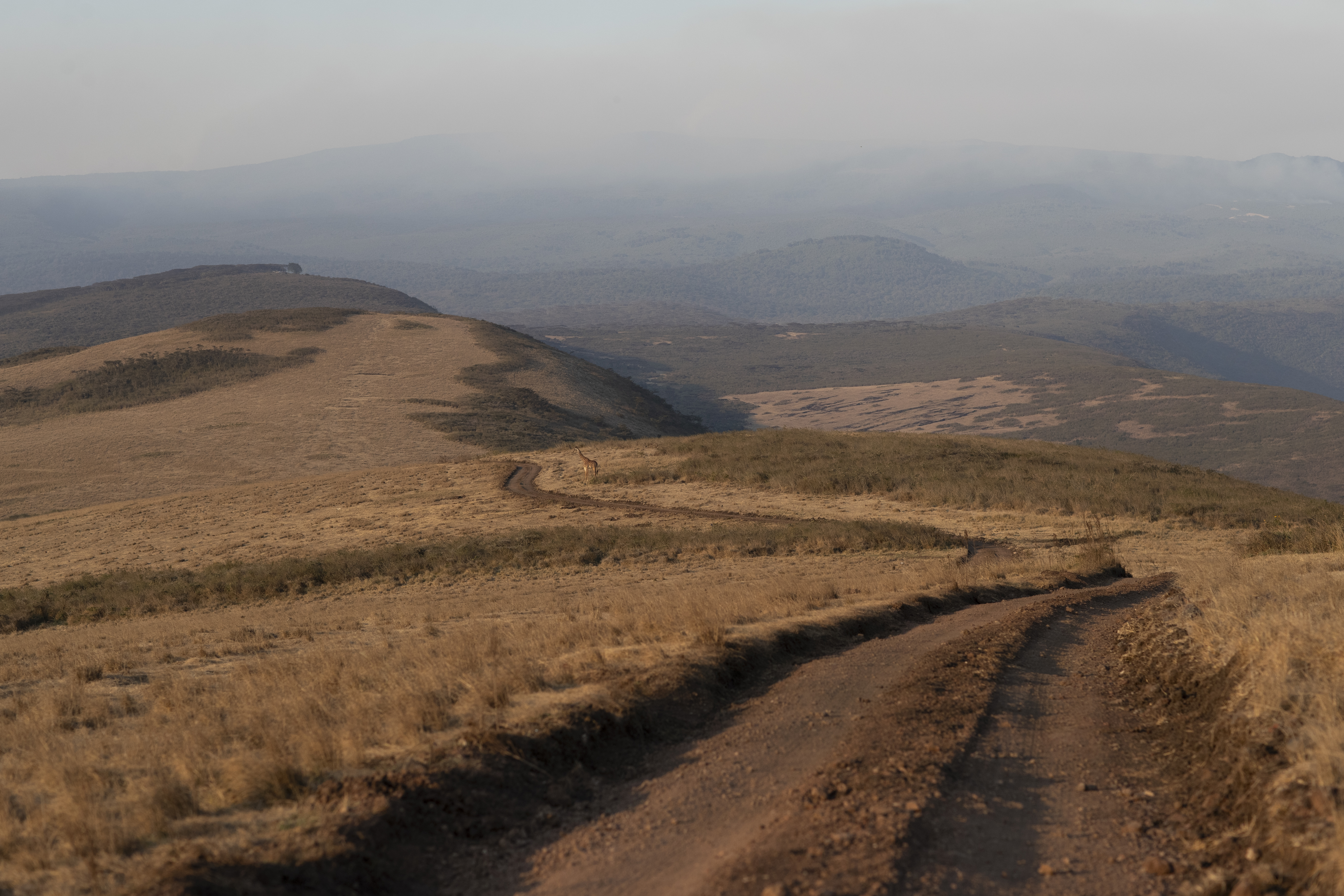 a dirt road through a valley