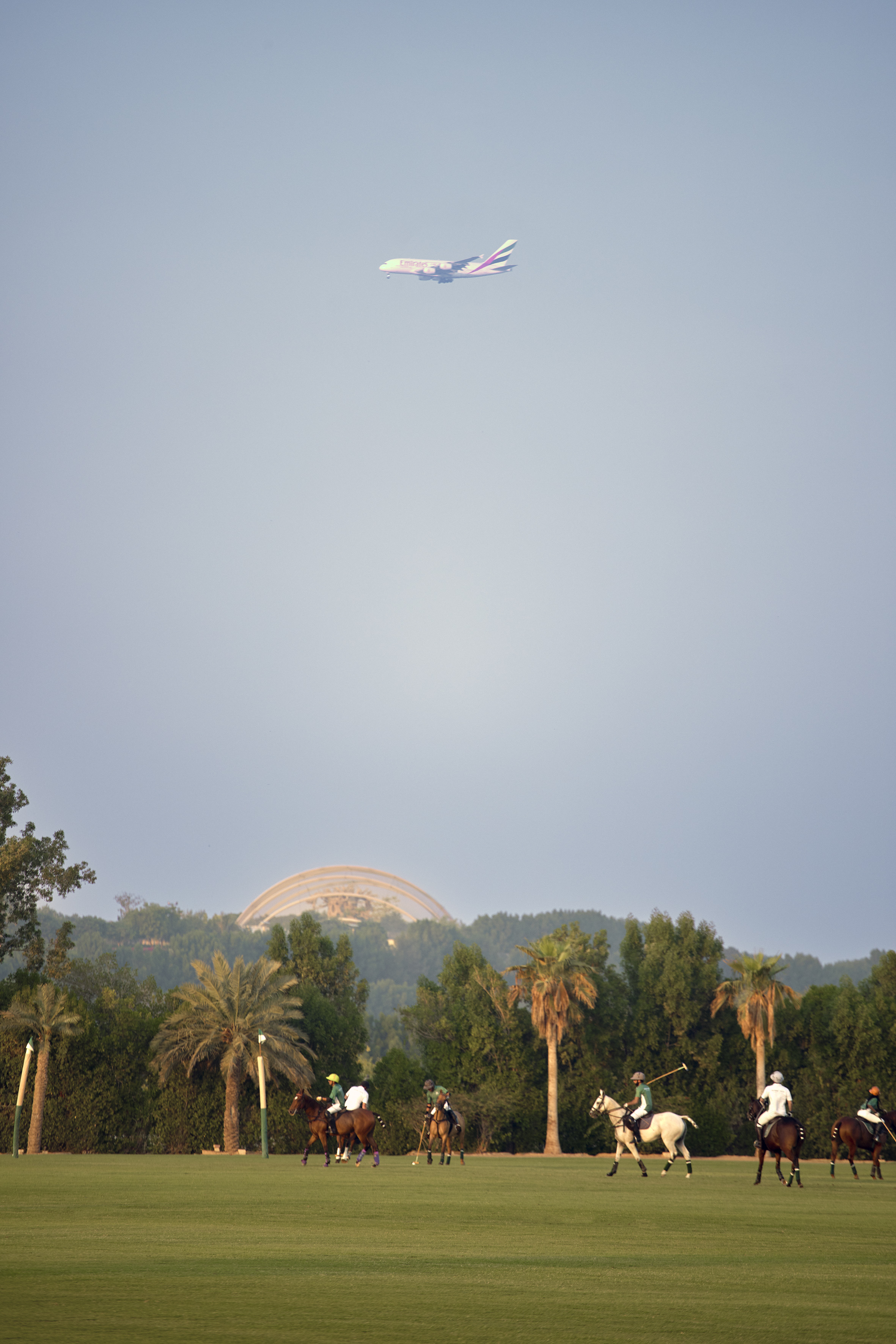 Polo match: players on horses, green field, Emirates airplane, palm trees.