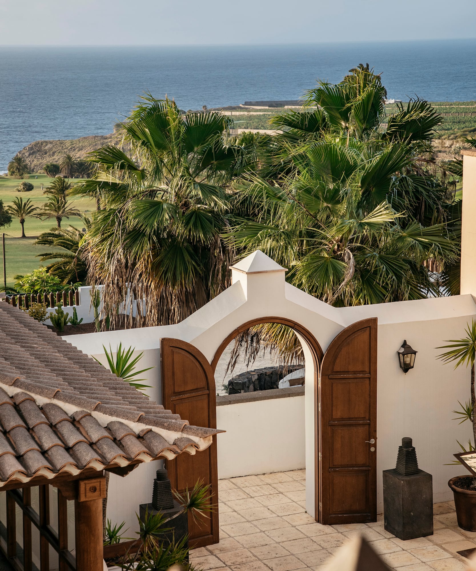 a white wall with a door open and palm trees