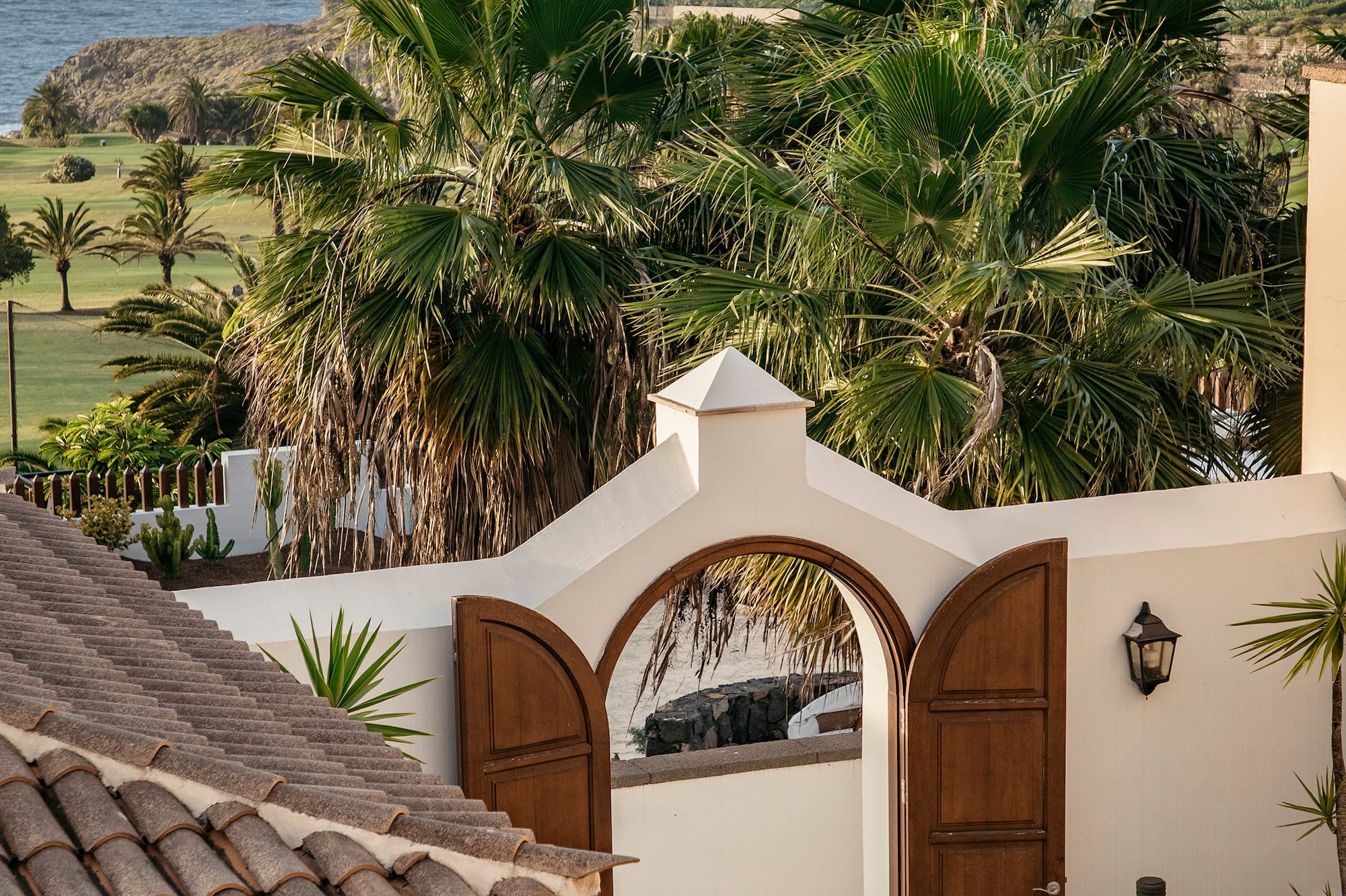 a white wall with a door open and palm trees